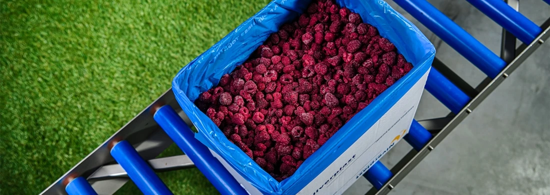 NIVERPLAST FRUITS VEGETABLES 06