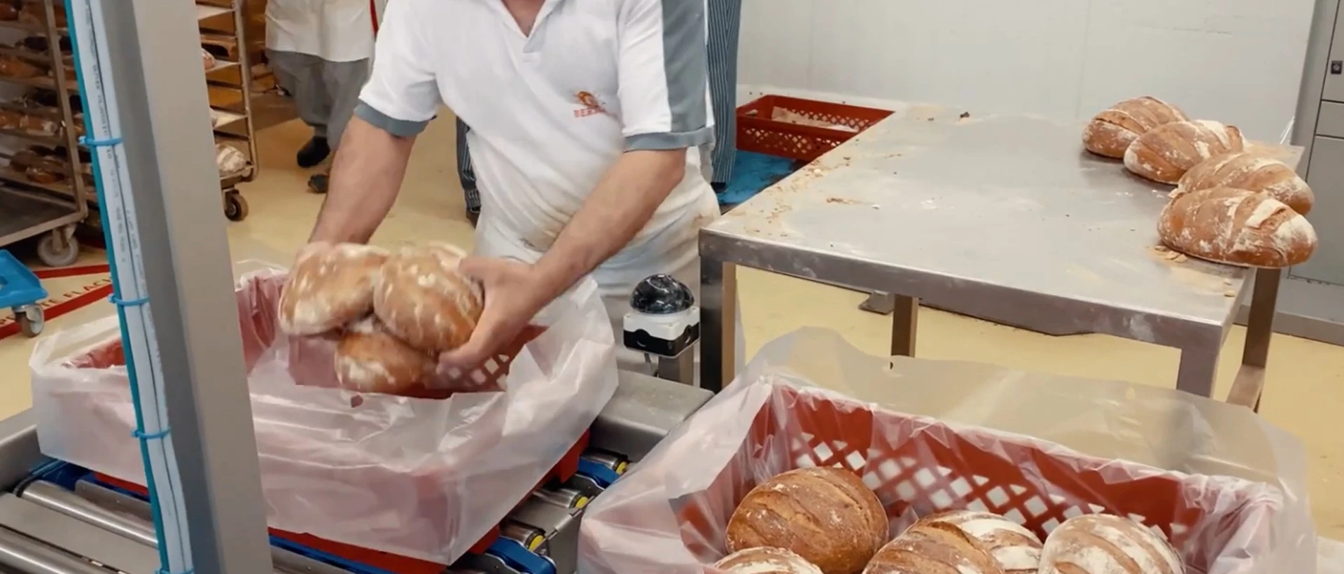 Head bread rolls into crates with bag