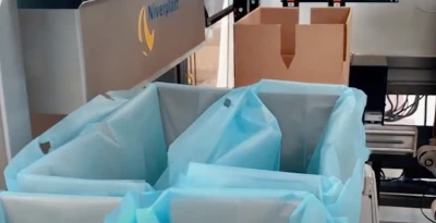 Twobagsinbox