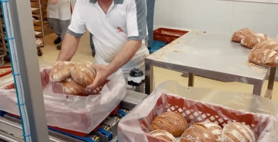 Head bread rolls into crates with bag